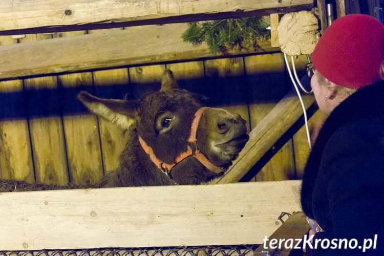 Żywa szopka w Zręcinie