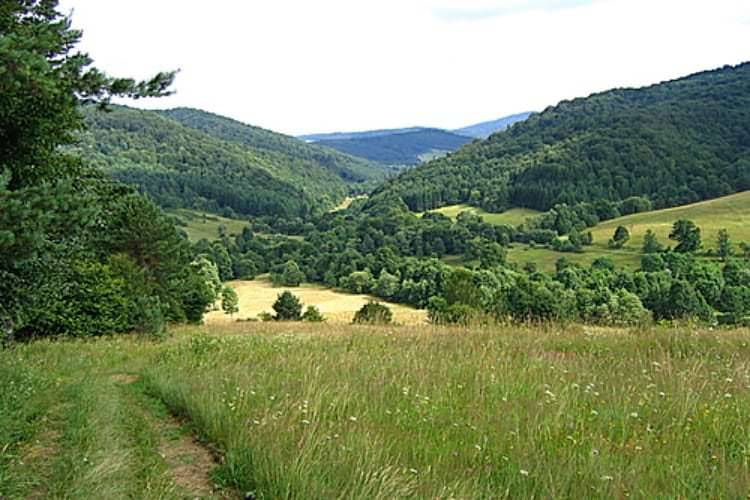 Prelekcja dr. Mariana Stója w Centrum Dziedzictwa Szkła