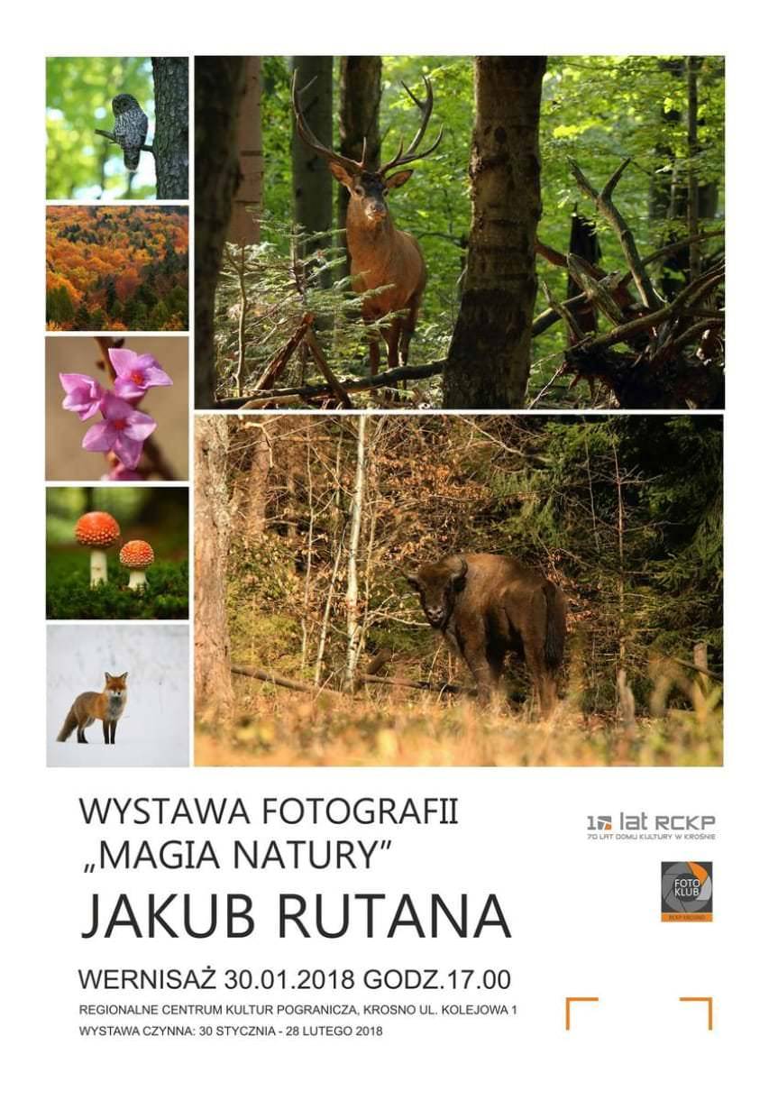 Wystawa fotografii "Magia natury" w RCKP
