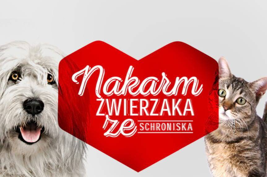 Zbiórka dla zwierząt z krośnieńskiego schroniska