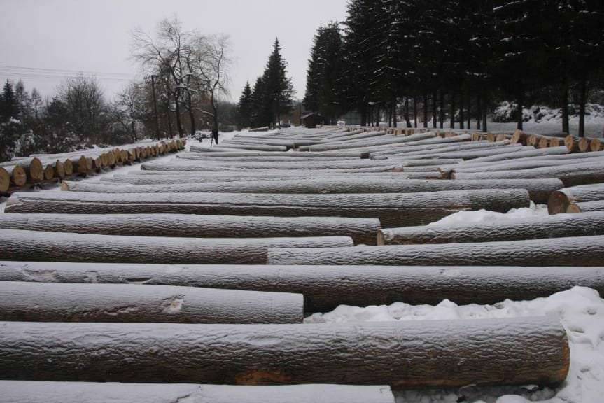 Udana submisja w krośnieńskiej RDLP