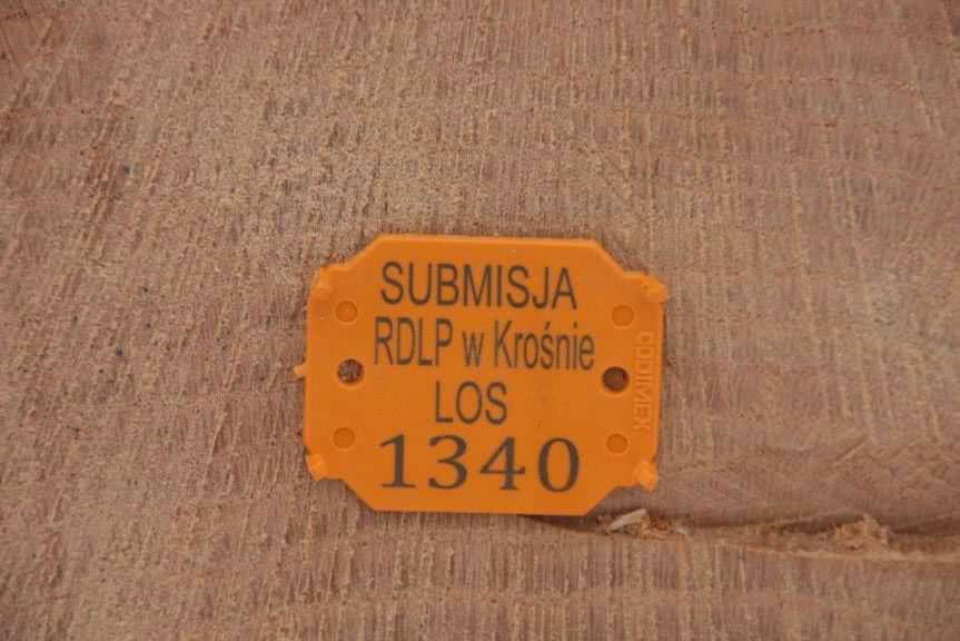 Udana submisja w krośnieńskiej RDLP