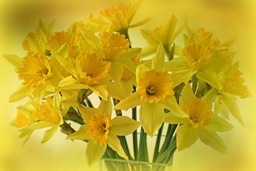 X edycja Krośnieńskich Pól Nadziei