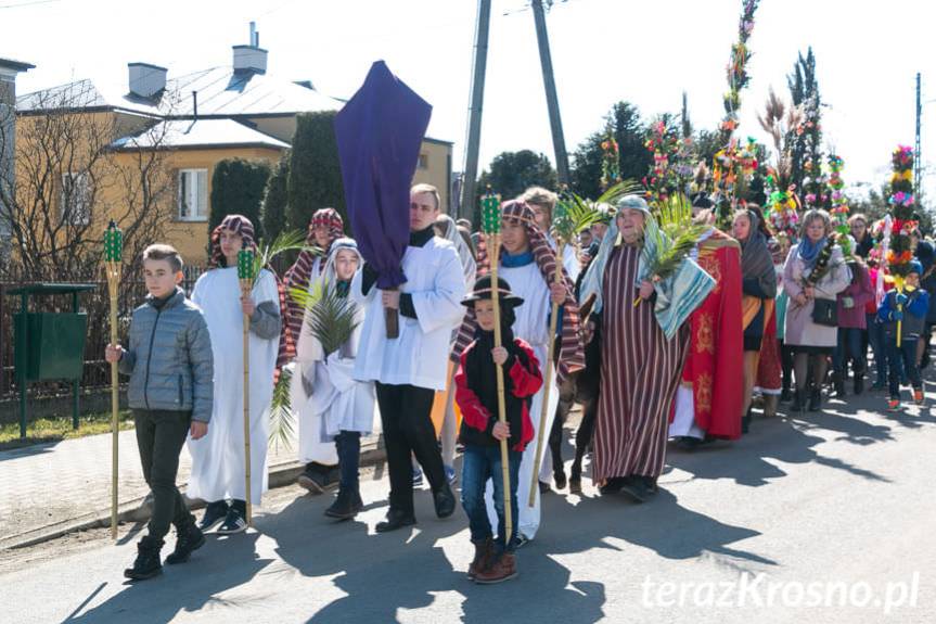 Niedziela Palmowa. Przez Zręcin przeszła procesja z palmami