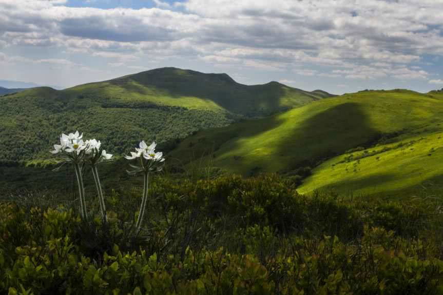 Dar fotografów dla krośnieńskiego szpitala