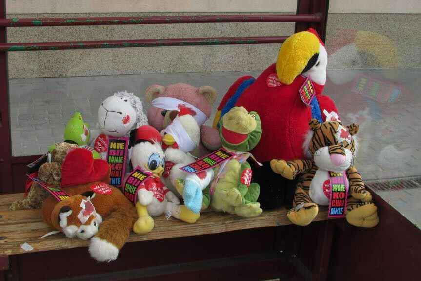 Akcja "Historia Misia" po raz pierwszy w Krośnie