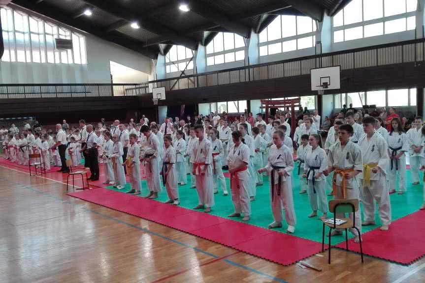 14. pucharów podczas Memoriału Masutatsu Oyamy