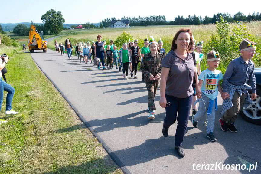 "Ustrobniak" wśród finalistów konkursu Drzewo Roku 2018