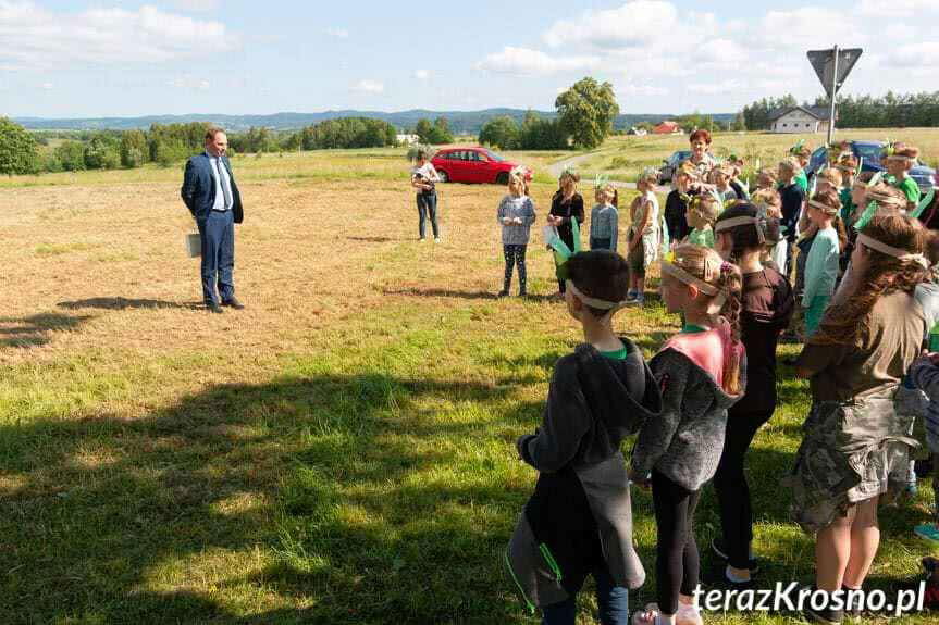 "Ustrobniak" wśród finalistów konkursu Drzewo Roku 2018