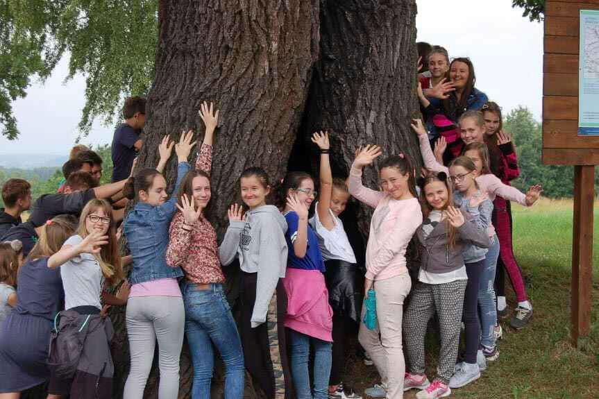 Dąb Ustrobniak czeka na Twój głos