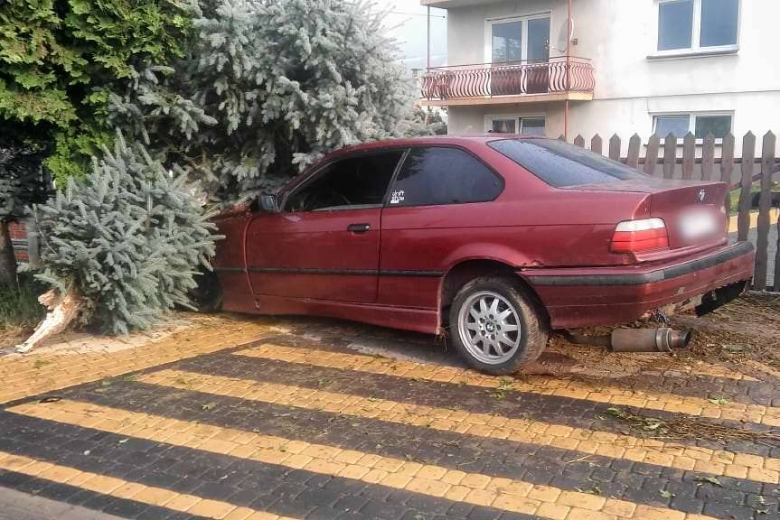 Kierowca BMW ściął świerka
