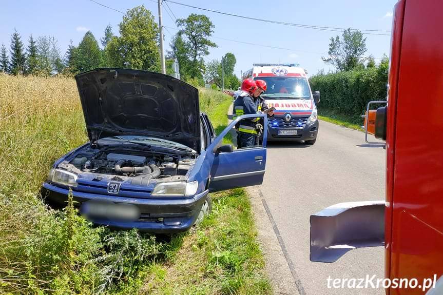 Peugeotem zjechała z jezdni