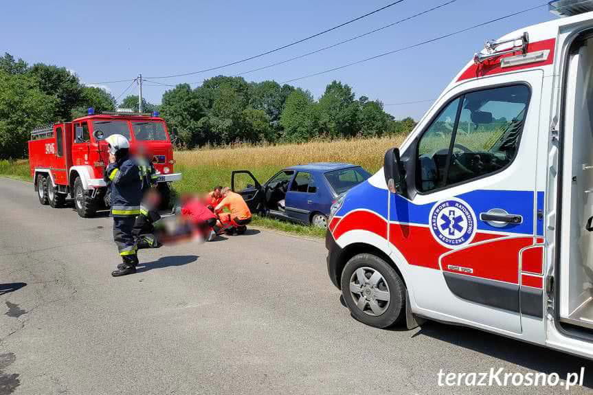 Peugeotem zjechała z jezdni