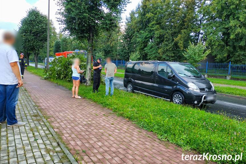 Drzewo spadło na samochód