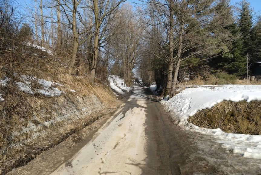 Ulica Zielona już po remoncie. Zmieniła się nie do poznania