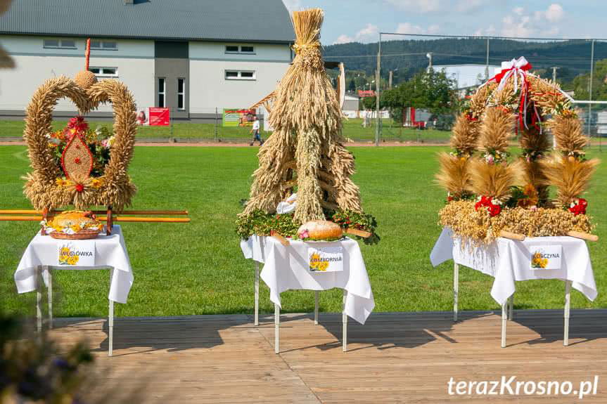 Dożynki Gminne w Korczynie. Rolnicy podziękowali za plony 