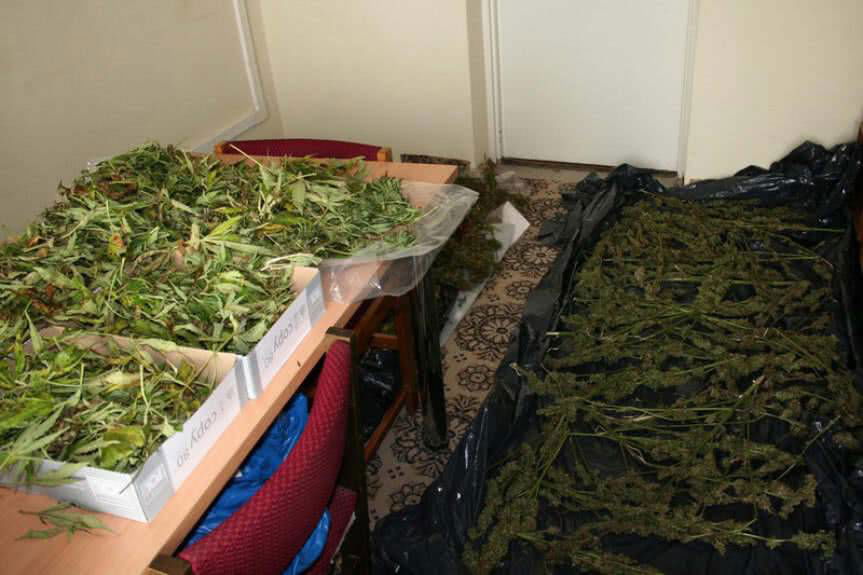 Wpadli w policyjną zasadzkę. Policjanci zabezpieczyli ponad 6 kg suszu