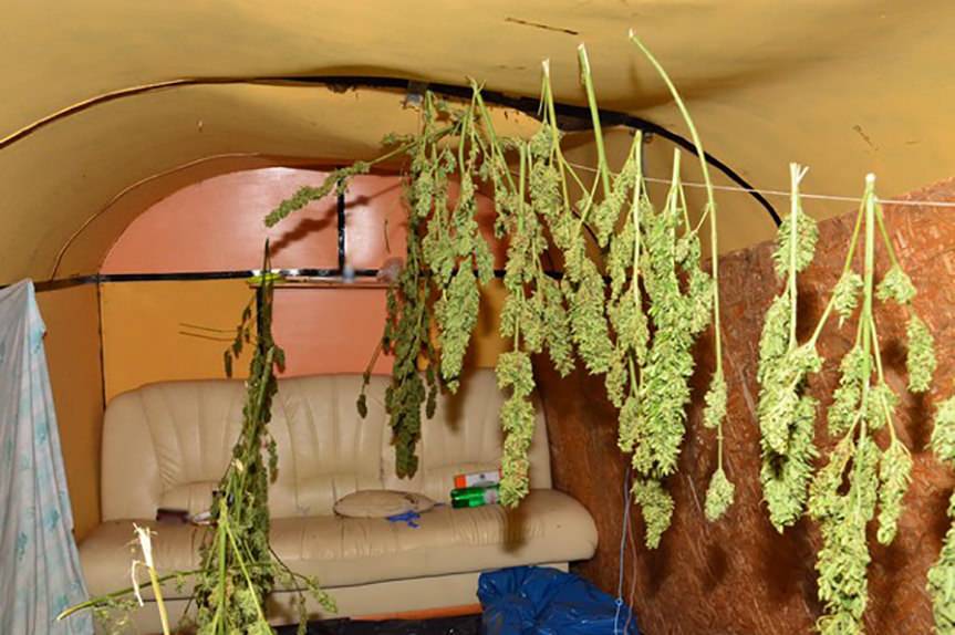 Wpadli w policyjną zasadzkę. Policjanci zabezpieczyli ponad 6 kg suszu