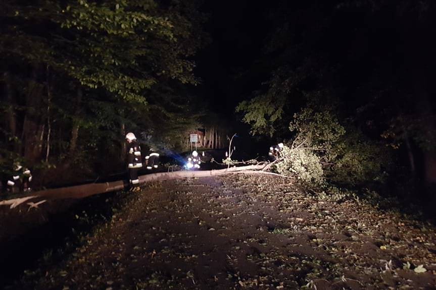 Strażacy podsumowali interwencje związane z silnym wiatrem