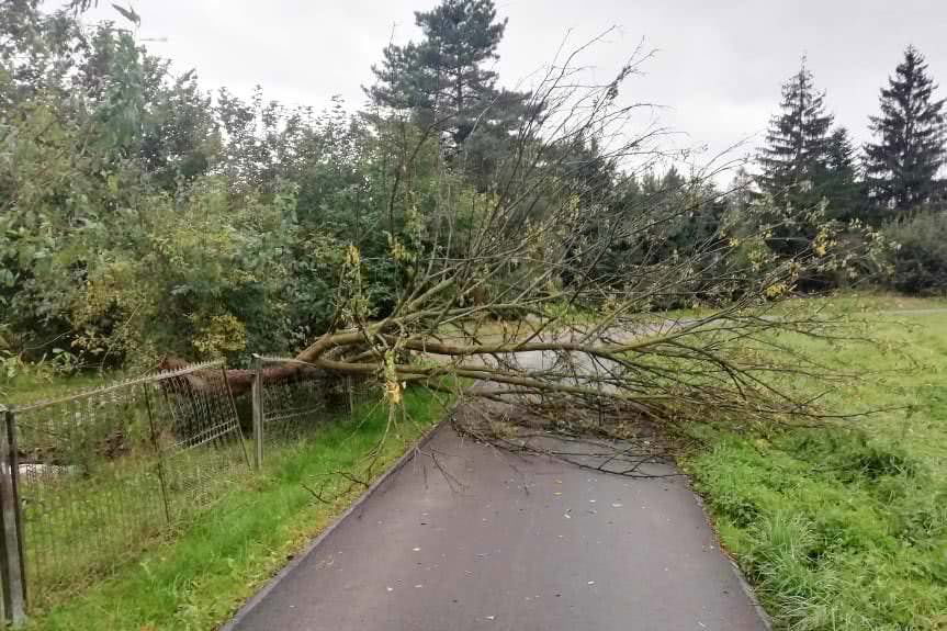 Strażacy podsumowali interwencje związane z silnym wiatrem