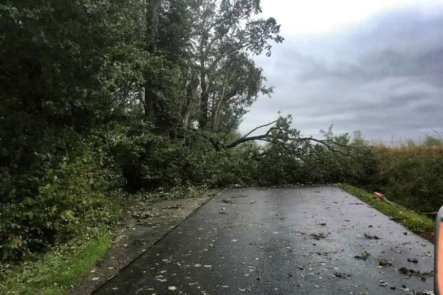 Strażacy podsumowali interwencje związane z silnym wiatrem