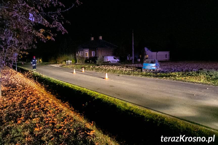Wypadek przez kota. Opel zatrzymał się w polu