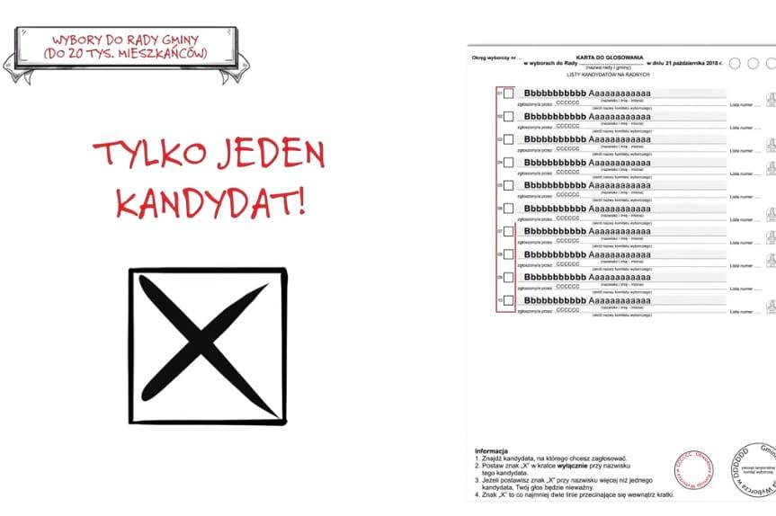 Wybory samorządowe 2018: Kiedy i jak głosować