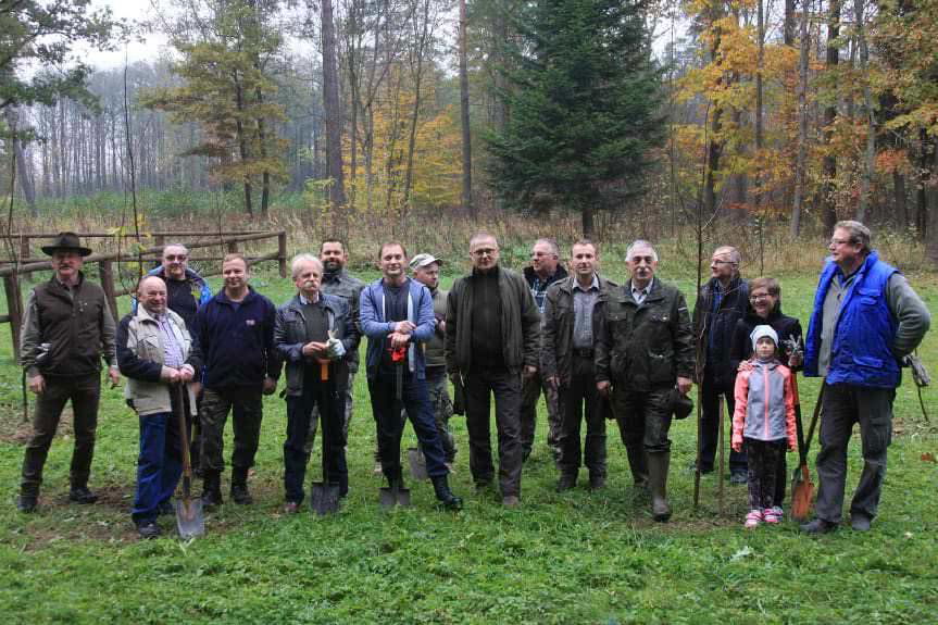 Pszczelarze posadzili "krąg mocy"