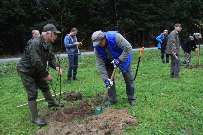 Pszczelarze posadzili "krąg mocy"
