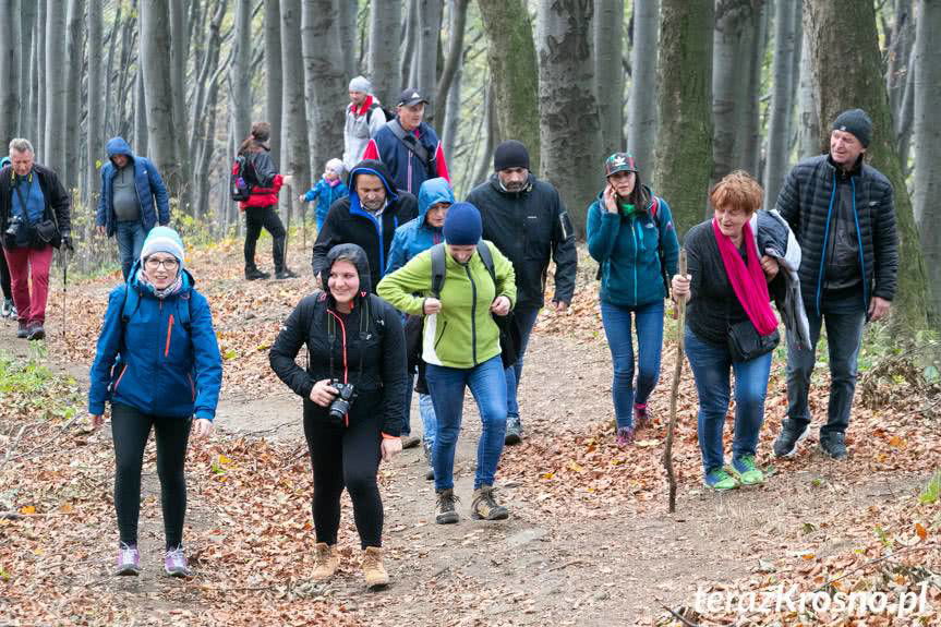 Wieża widokowa na Cergowej otwarta