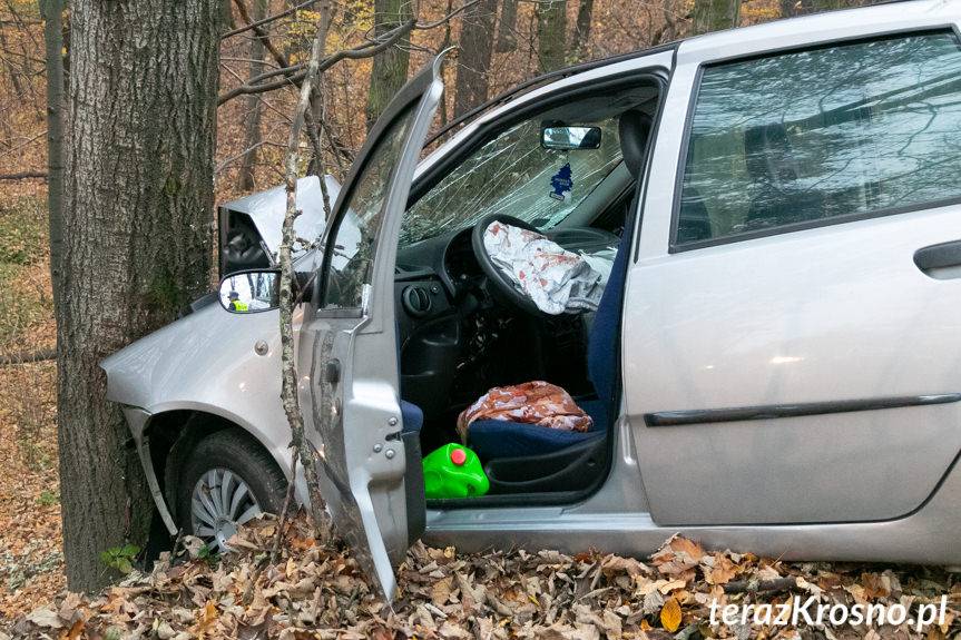 Zasnęła za kierownicą. Uderzyła w drzewo
