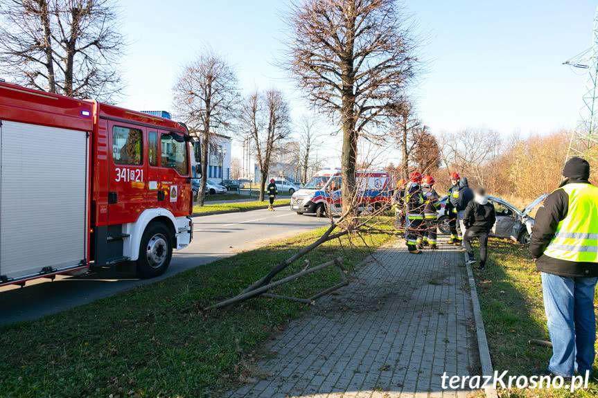 Kolizja na Tysiąclecia. Peugeot uderzył w drzewa