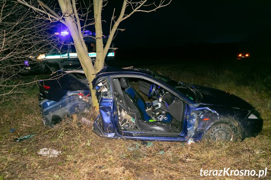 Wypadek w Ladzinie, ford uderzył w drzewo