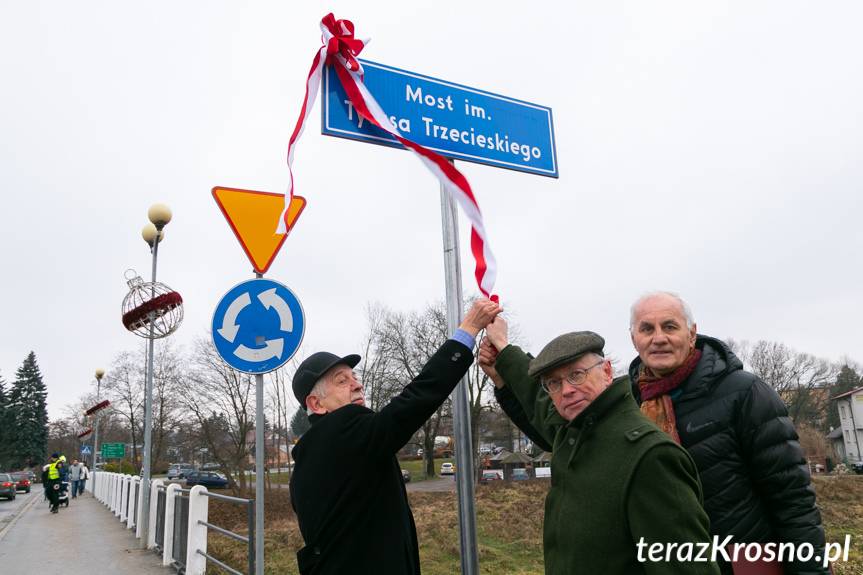 Most Tytusa Trzecieskiego