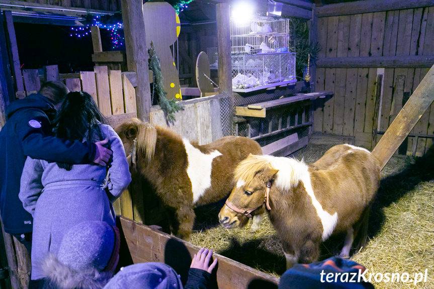 Żywa szopka w Zręcinie