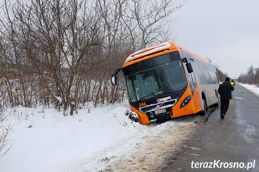 Autobus zjechał z drogi i zatrzymał się w rowie