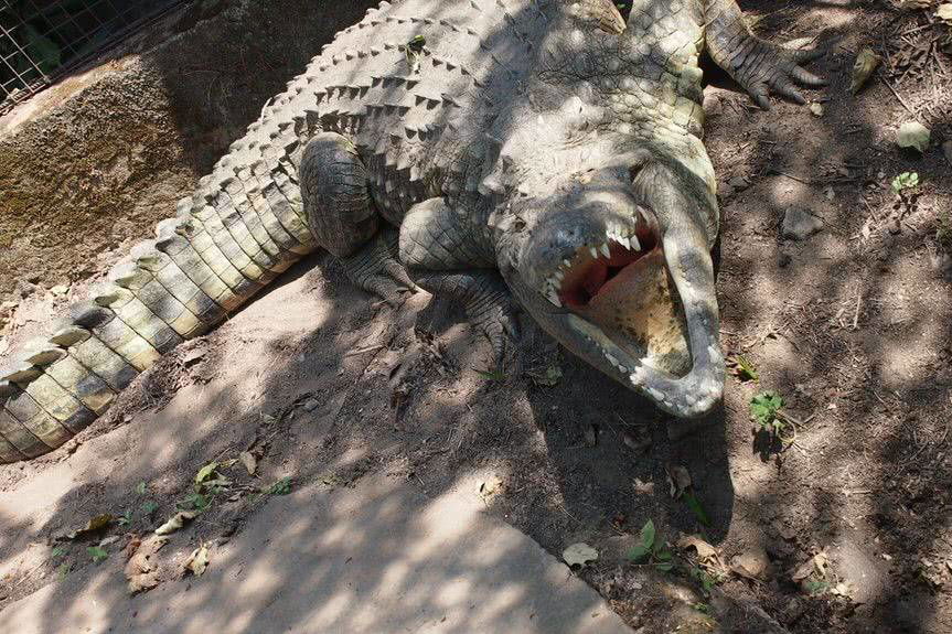 Spotkanie ze Stanisławem Wadeckim "Z Parkową w świat" 