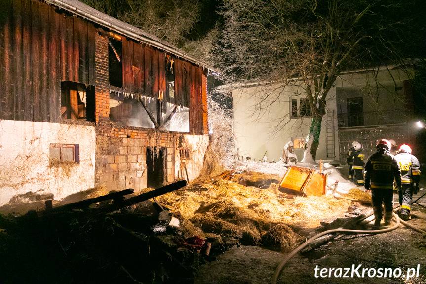 Pożar budynku gospodarczego w Mszanie