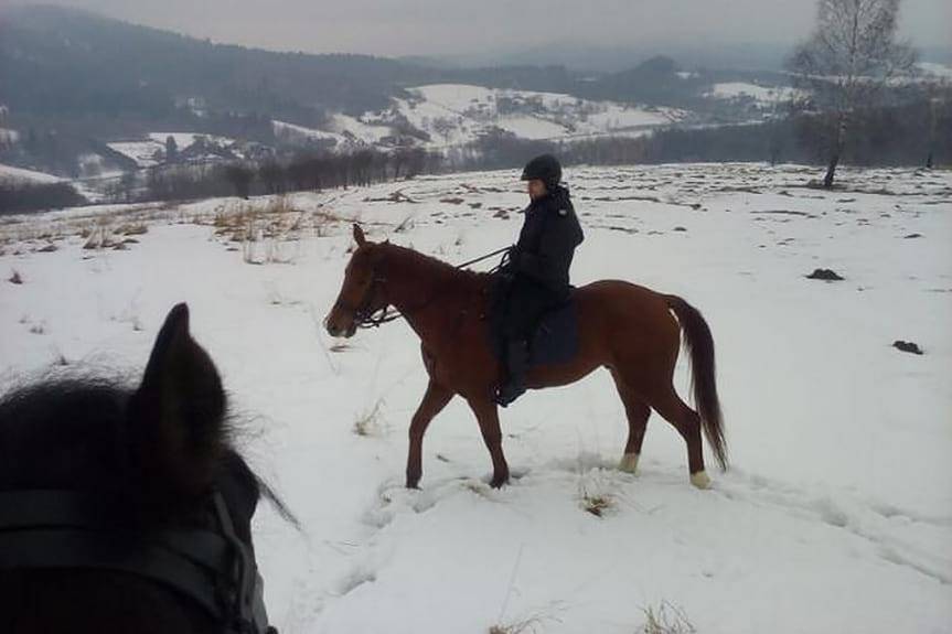 Policjanci na koniach patrolują lasy