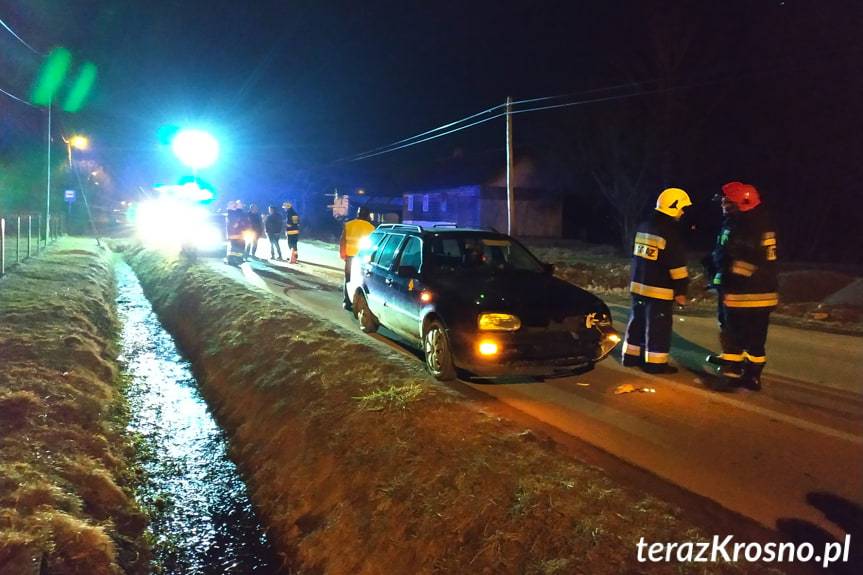 Zderzenie z dzikim zwierzęciem