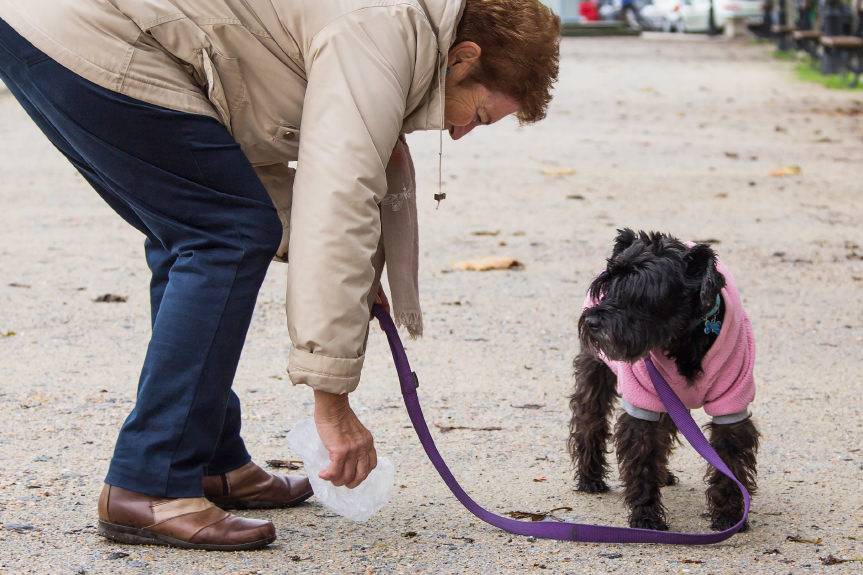 Krosno. Bezpłatne woreczki na psie odchody