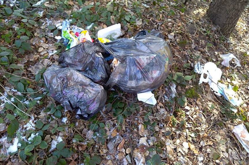 Wyrzucili do lasu śmieci z własnymi danymi