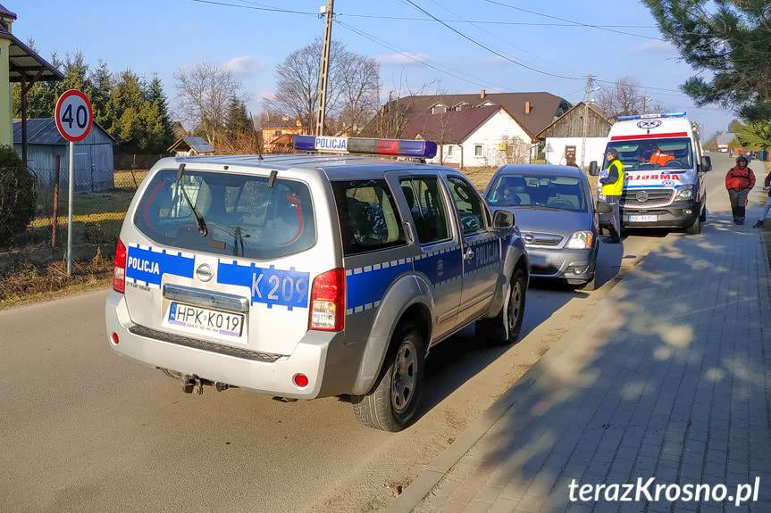 Potrącenie pieszego w Świerzowej Polskiej