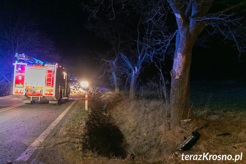 Wypadek w Łysej Górze, 4 osoby ranne