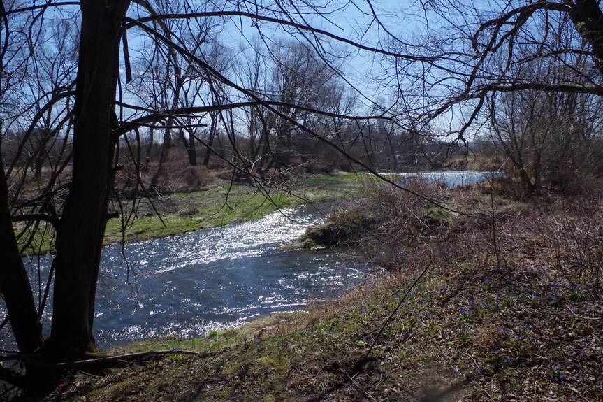 Sprzątali Jasiołkę
