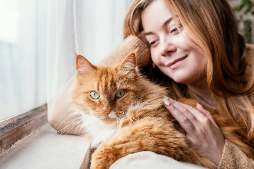 Kurs Instruktora Felinoterapii - zdobądź kwalifikacje do prowadzenia zajęć z udziałem kota