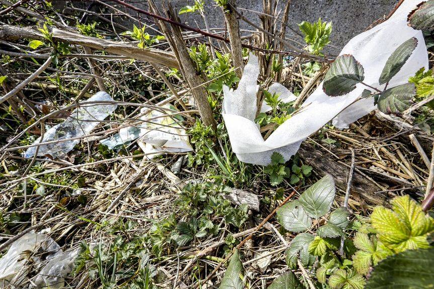 PE mówi "nie" plastikowym jednorazówkom