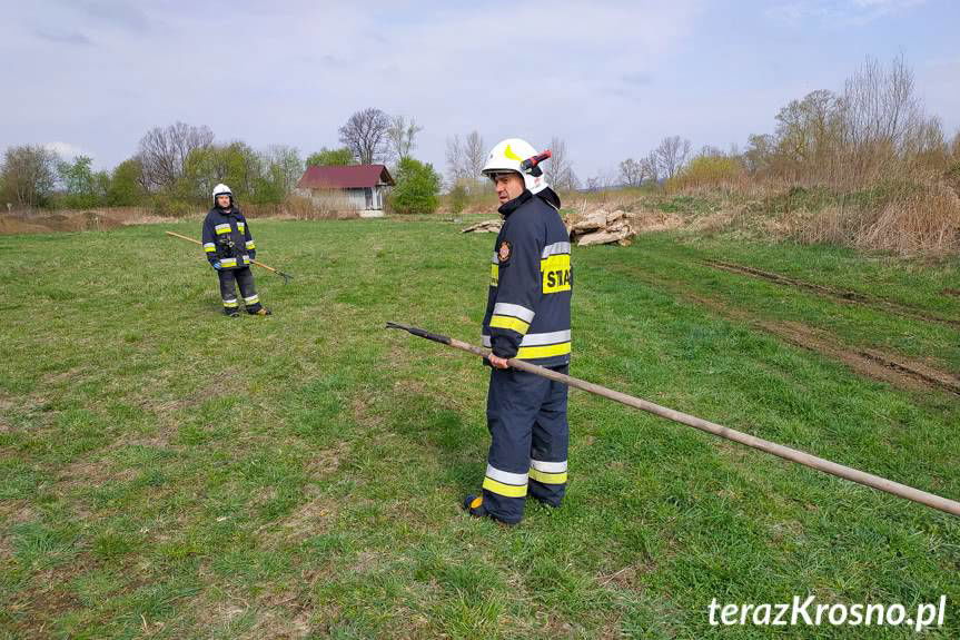 W Odrzykoniu w Wisłoku znaleziono ciało