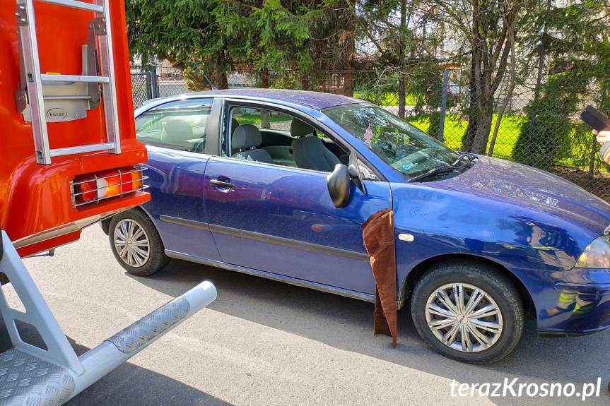 Potrącenie pieszego w Chlebnej