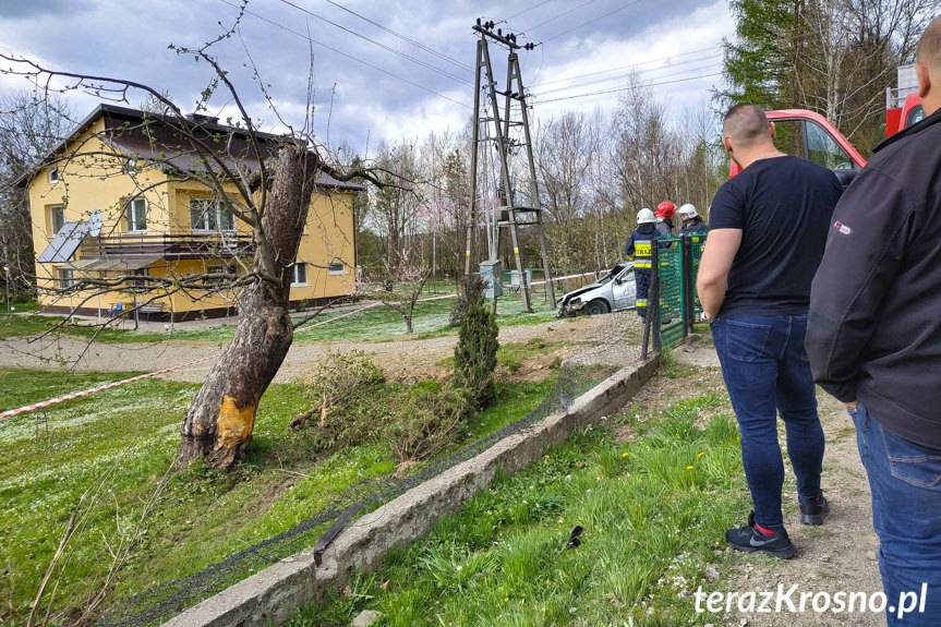 Uderzył w ogrodzenie i drzewo